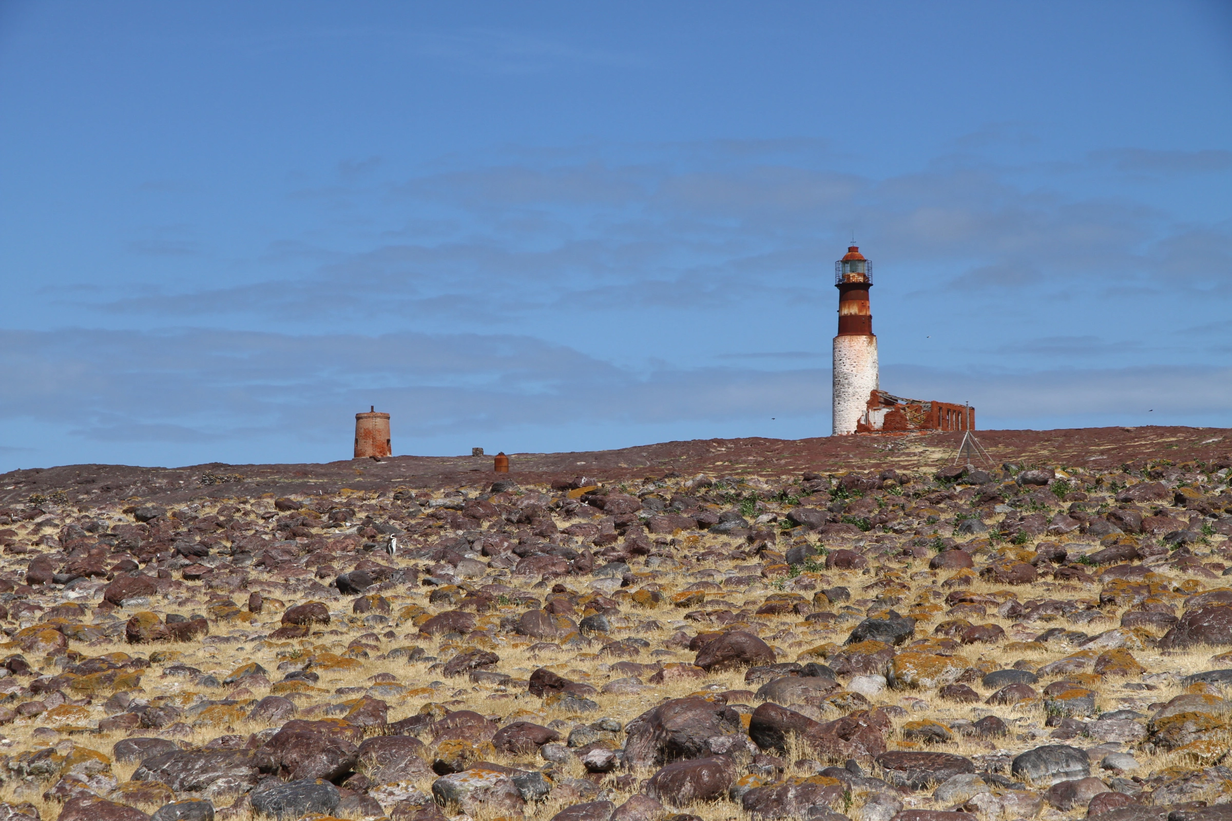 Isla_Pinguino[1].webp
